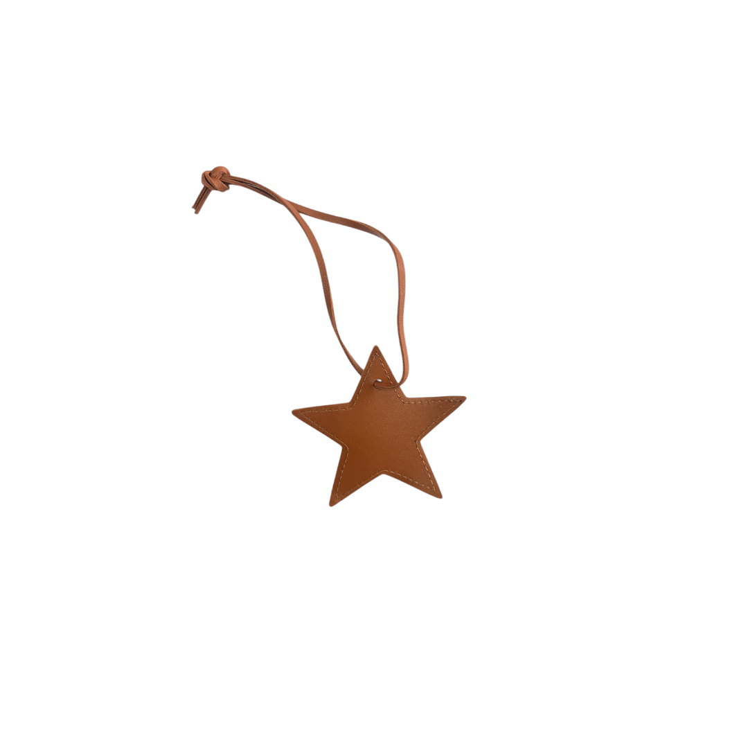 BROWN STAR CHARM