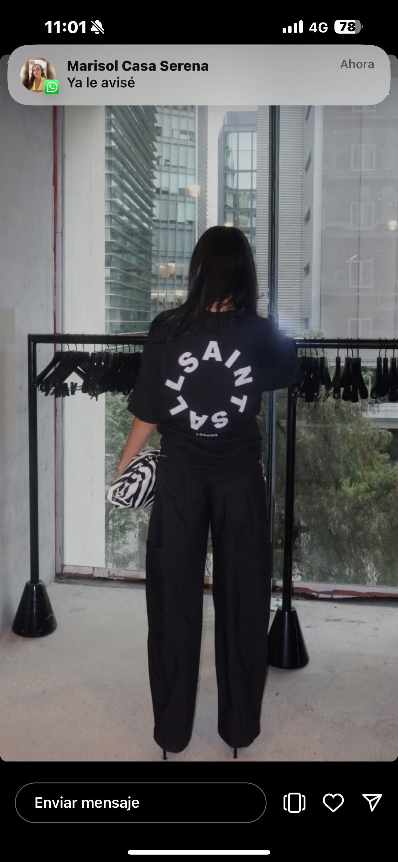 ZEBRA BAG XL